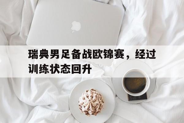 平博下载-瑞典男足备战欧锦赛，经过训练状态回升